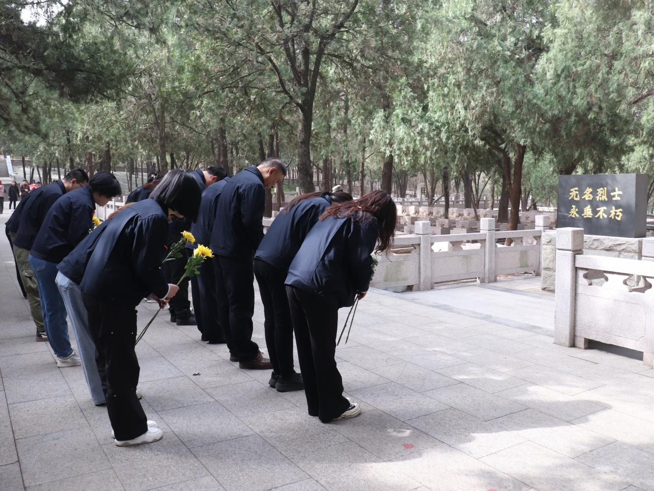 金佰利(国际)官方网站入口